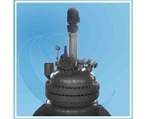 500L High-pressure Reactor 