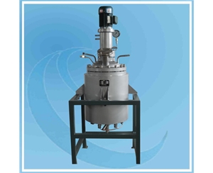 Hydrogenation Reactor