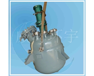 Hydrogenation Reactor